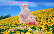 2011年夏バージョン